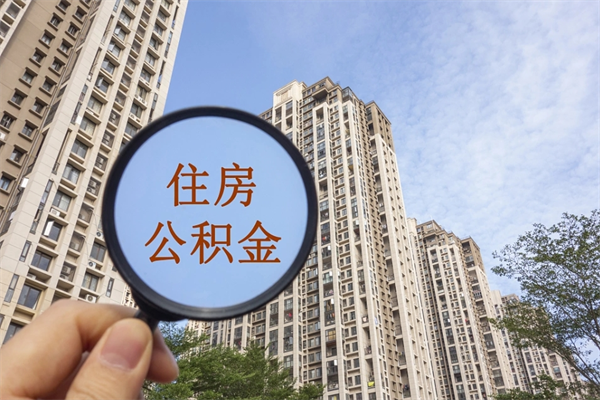 公积金还看征信吗吗_邓州公积金代办在职离职封存服务